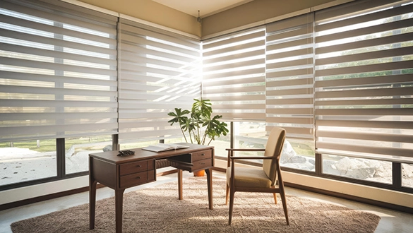 Window Blinds & Shades
