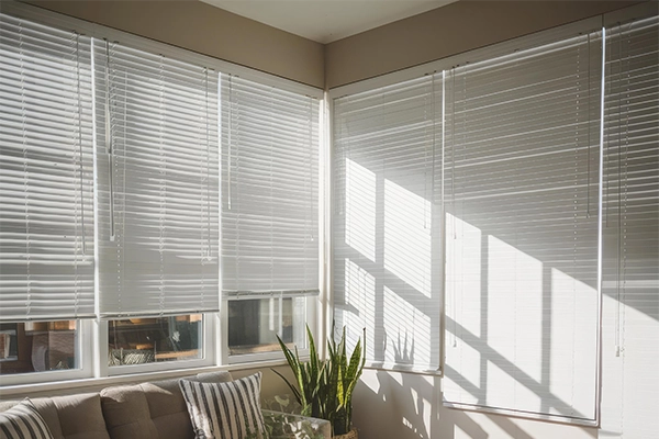 Window Blinds & Shades